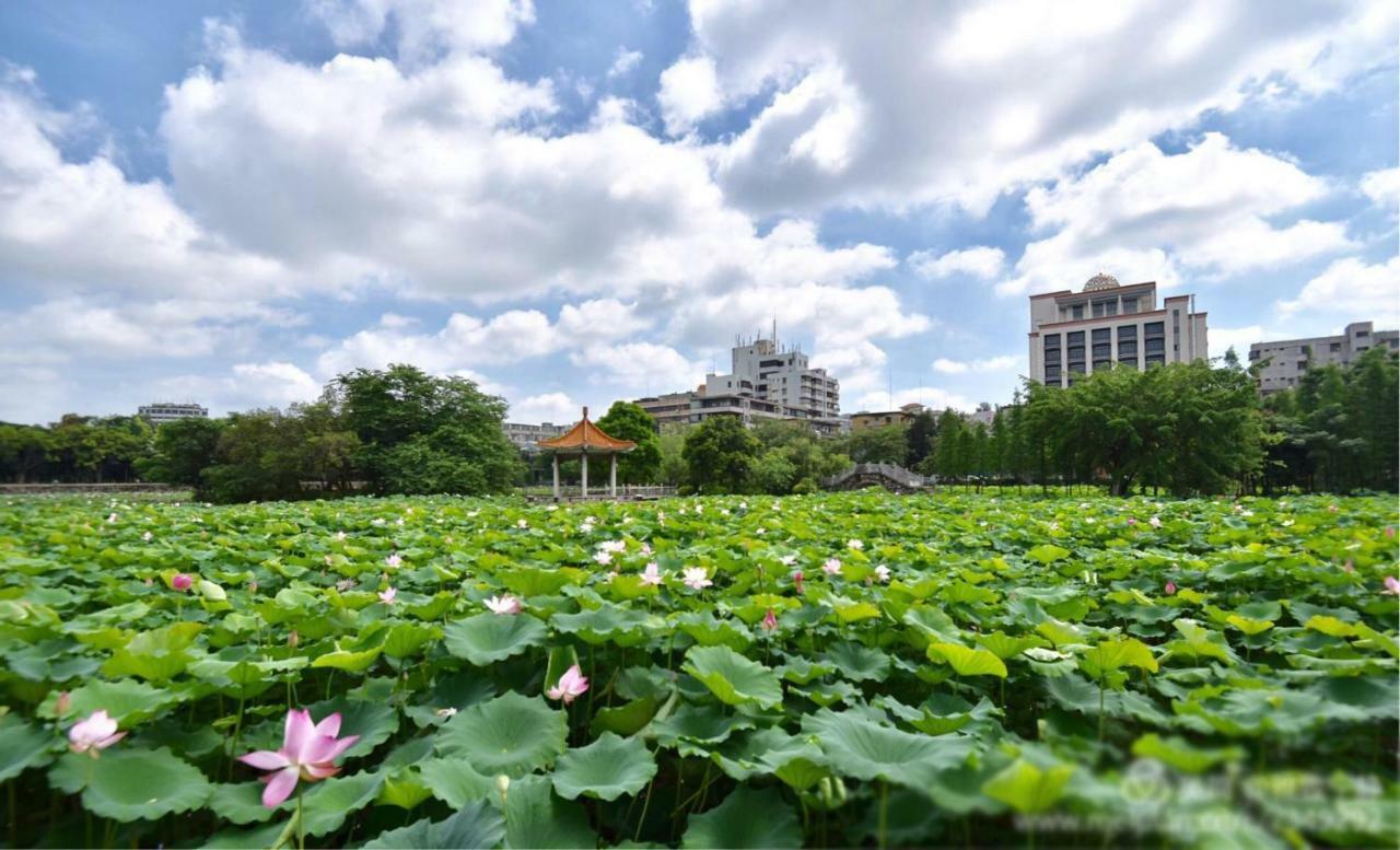 Taishan Bojue Hotel Экстерьер фото